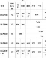 开云直播-昔日苏宁错过！江苏省职业俱乐部奖补：中超冠军3000万亚军2000万